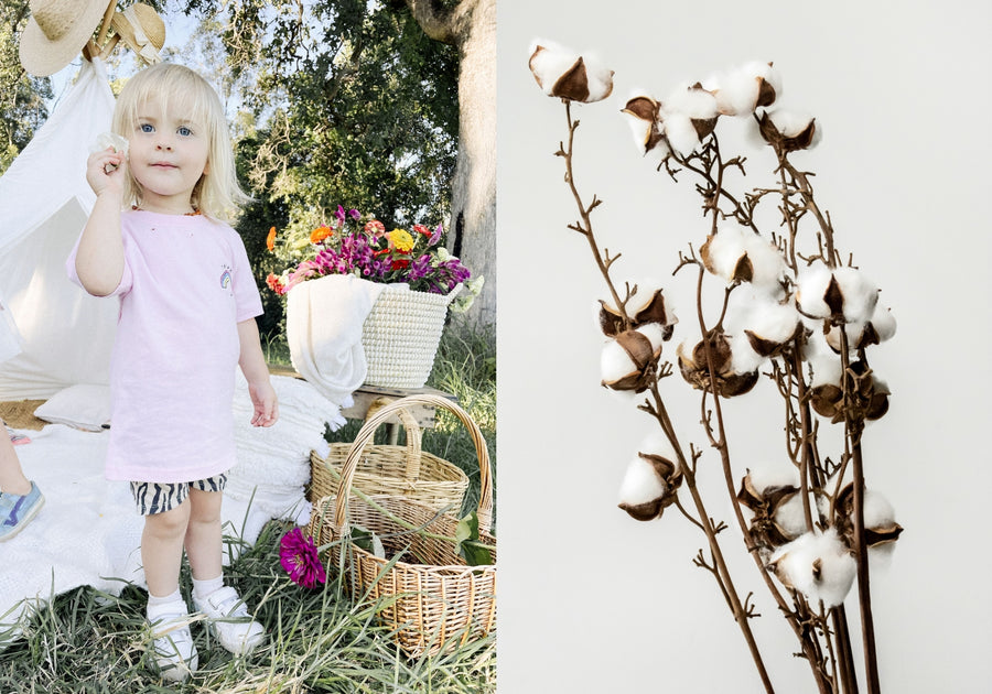 Organic Cotton Benefits – Why it’s the Ethical Clothing Choice